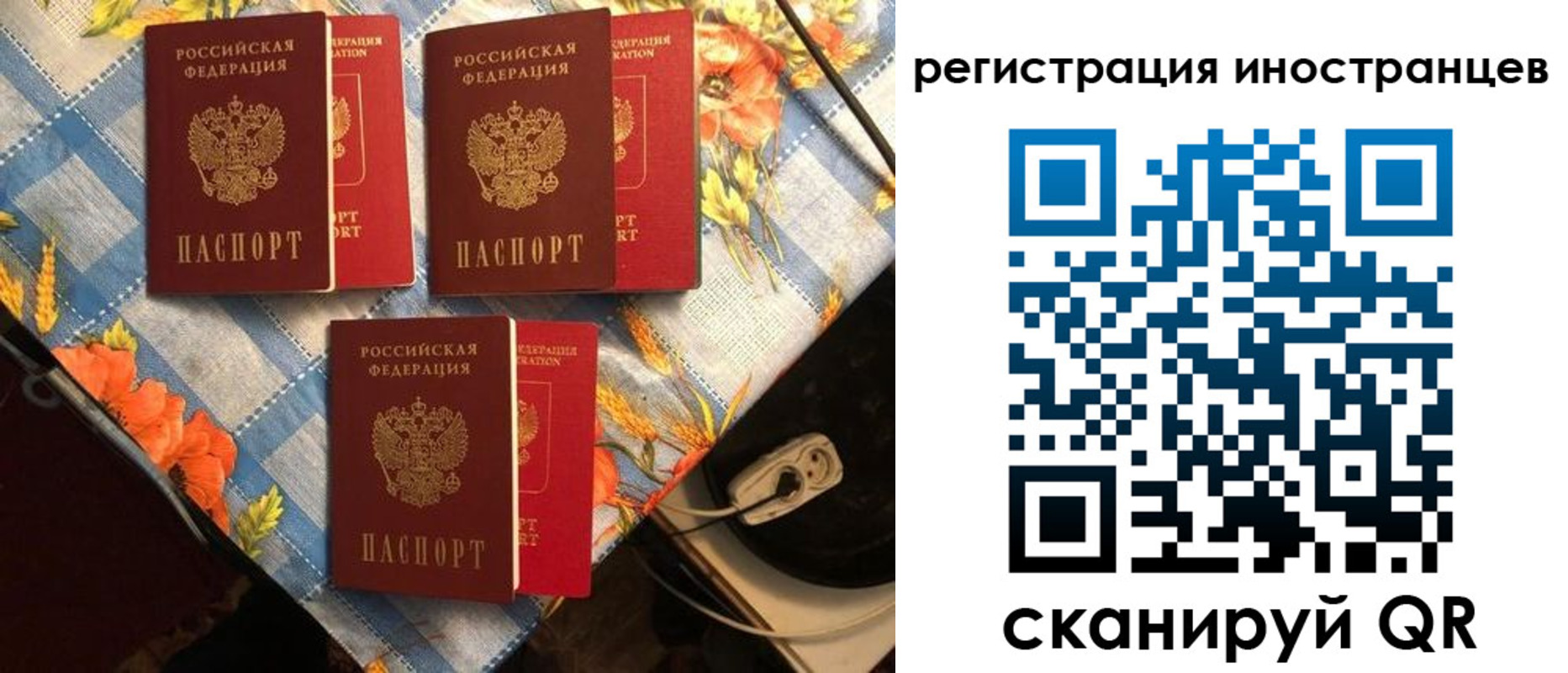 прописка поиск в Костромской области